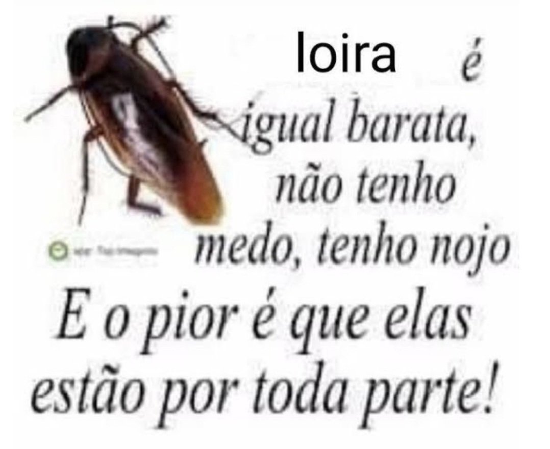 jardim ✦ tweet media