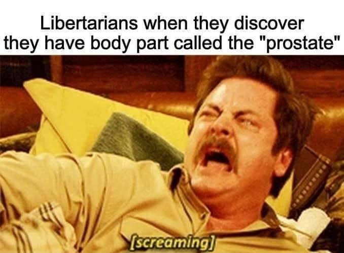 Declaration of Memes tweet media