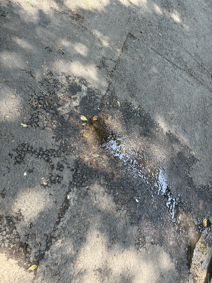 CINDPS's tweet photo. @sacmex1 @BJAlcaldia @C5_CDMX  fuga de agua en Manuel López Cotilla y Félix Cuevas a la altura de 1446 de esta  fugando del ramal https://t.co/LdBWFNUgLg
