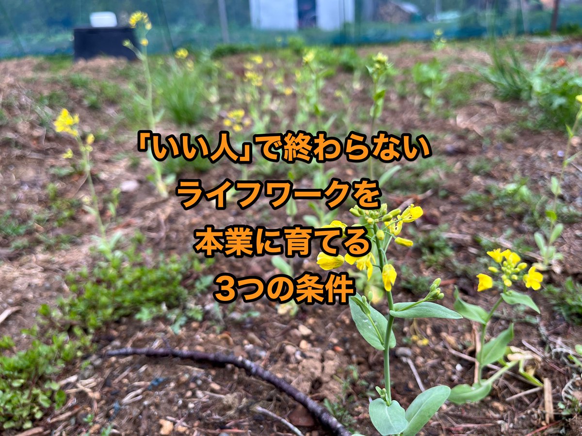 PermacultureLab's tweet photo. 5月20日(水)から、無料の5日間チャレンジ講座を行います。

「いい人」で終わらず、
ライフワークをちゃんと本業レベルに育てる3つの条件。

については、3日目(5月22日)にお話しします。

詳細はこちら↓↓↓
https://t.co/2IDZBoQlrq https://t.co/Qq5BOwbJAv