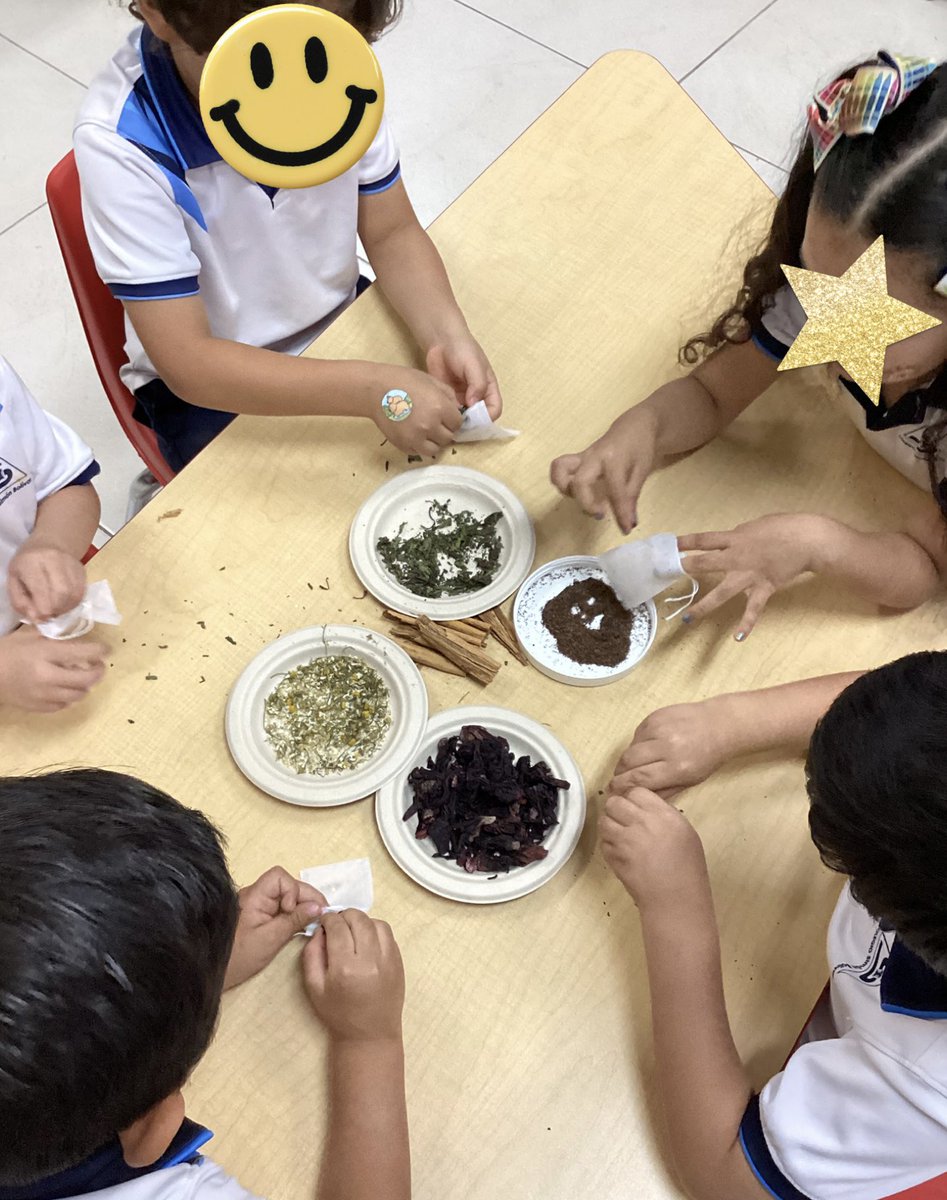 LilianaCSB15's tweet photo. Little hands, big discoveries 🌿✨ Today our preschoolers learned about medicinal plants and made their own tea!🫖☕️
@CSBoficial https://t.co/LlTuoqdztO