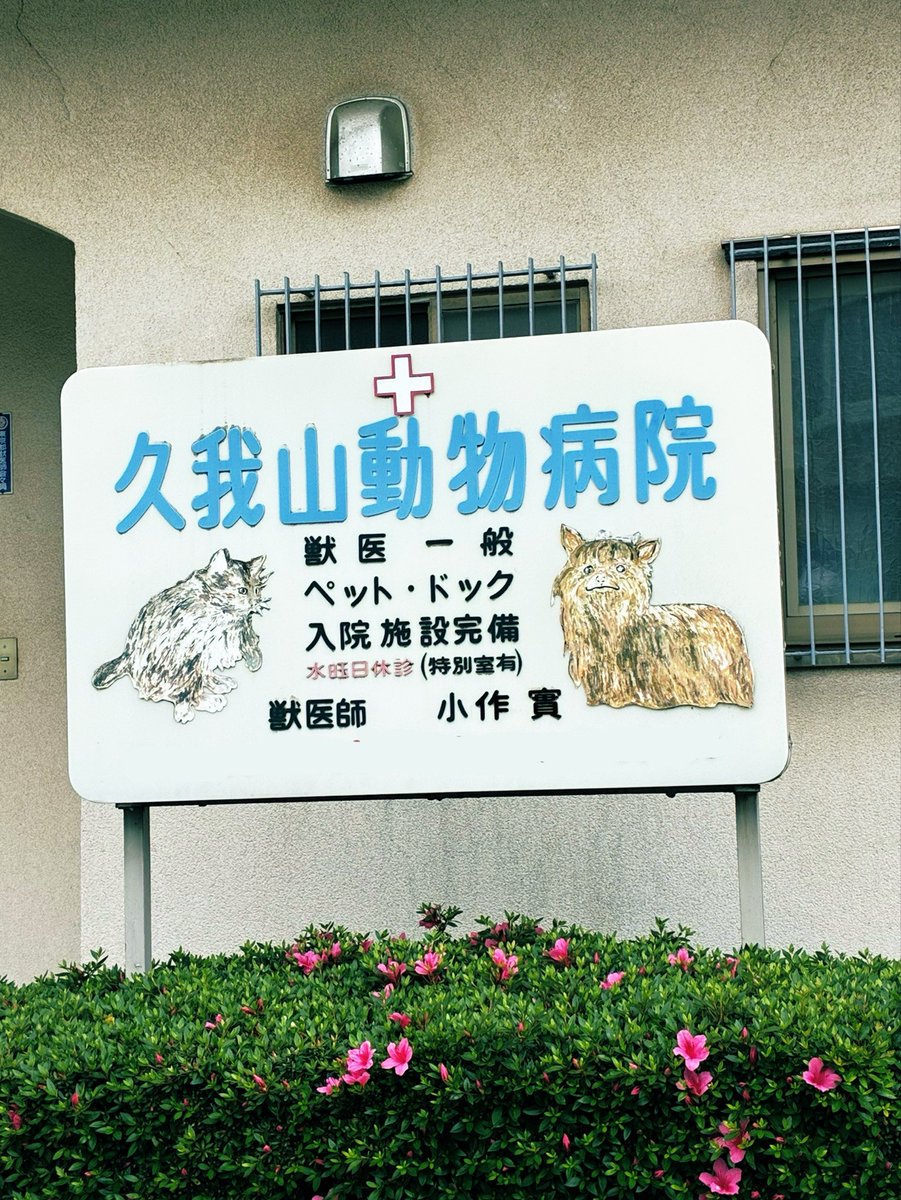 高山和之 tweet media
