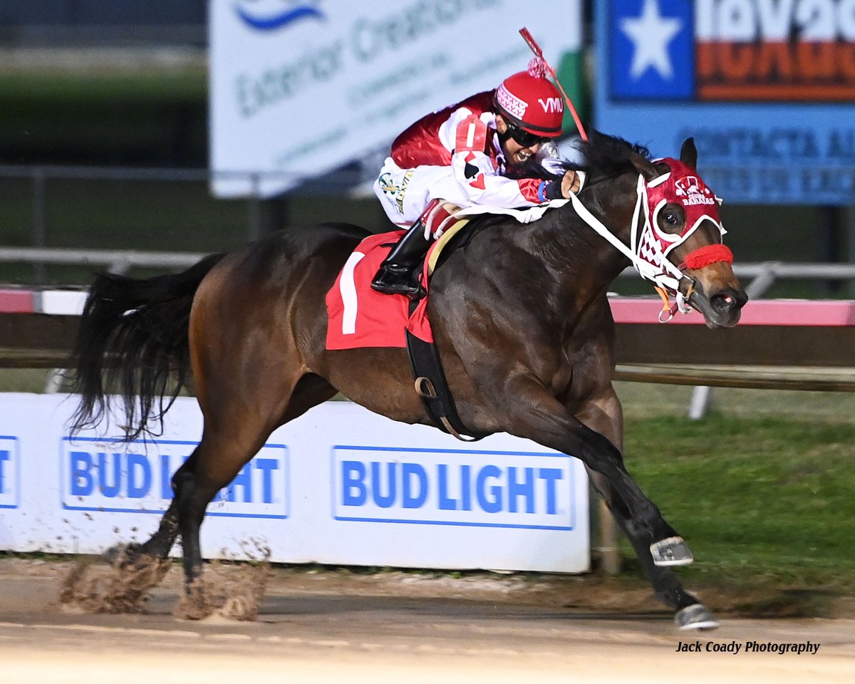 Sam Houston Race Park tweet media