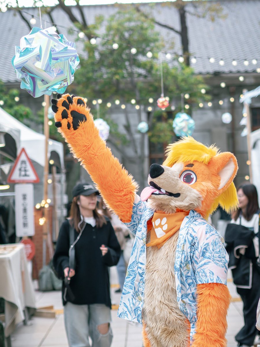 🌈橙色🐺UTFG🧳🍌 tweet media