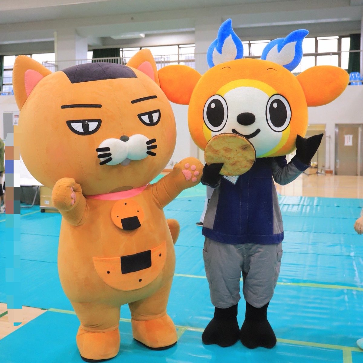 おはよニャンฅ(ↀᴥↀ)ฅ🍘✨ 今日はJリーグの日ニャンね⚽️ そうか