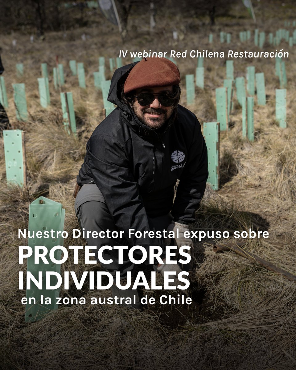 Fundación Reforestemos tweet media