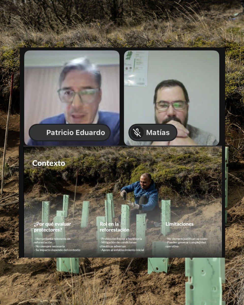 Fundación Reforestemos tweet media