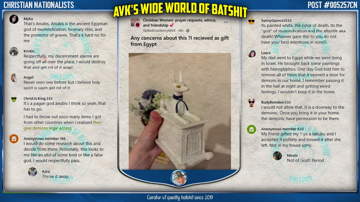 AVK | Wide World of Batshit tweet media
