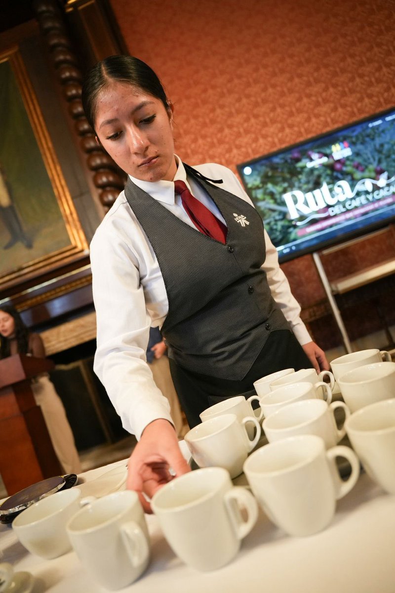 SENAComunica's tweet photo. #AEstaHora desde la Cancillería, nuestros aprendices participan con una muestra y degustación de café colombiano para más de 100 diplomáticos invitados, exaltando al café de Colombia como símbolo de nuestra identidad, cultura y tradición nacional ☕🇨🇴. #TalentoSENA https://t.co/JW9dBOc6x5