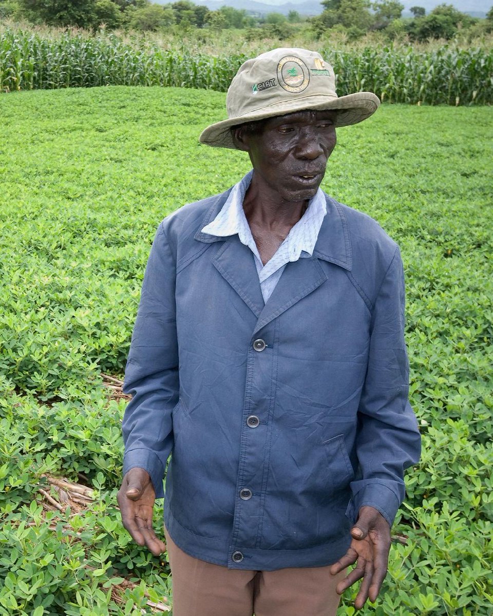 CGIAR tweet media