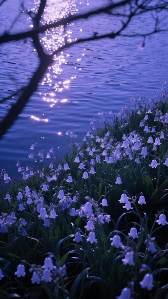 serenity tweet media