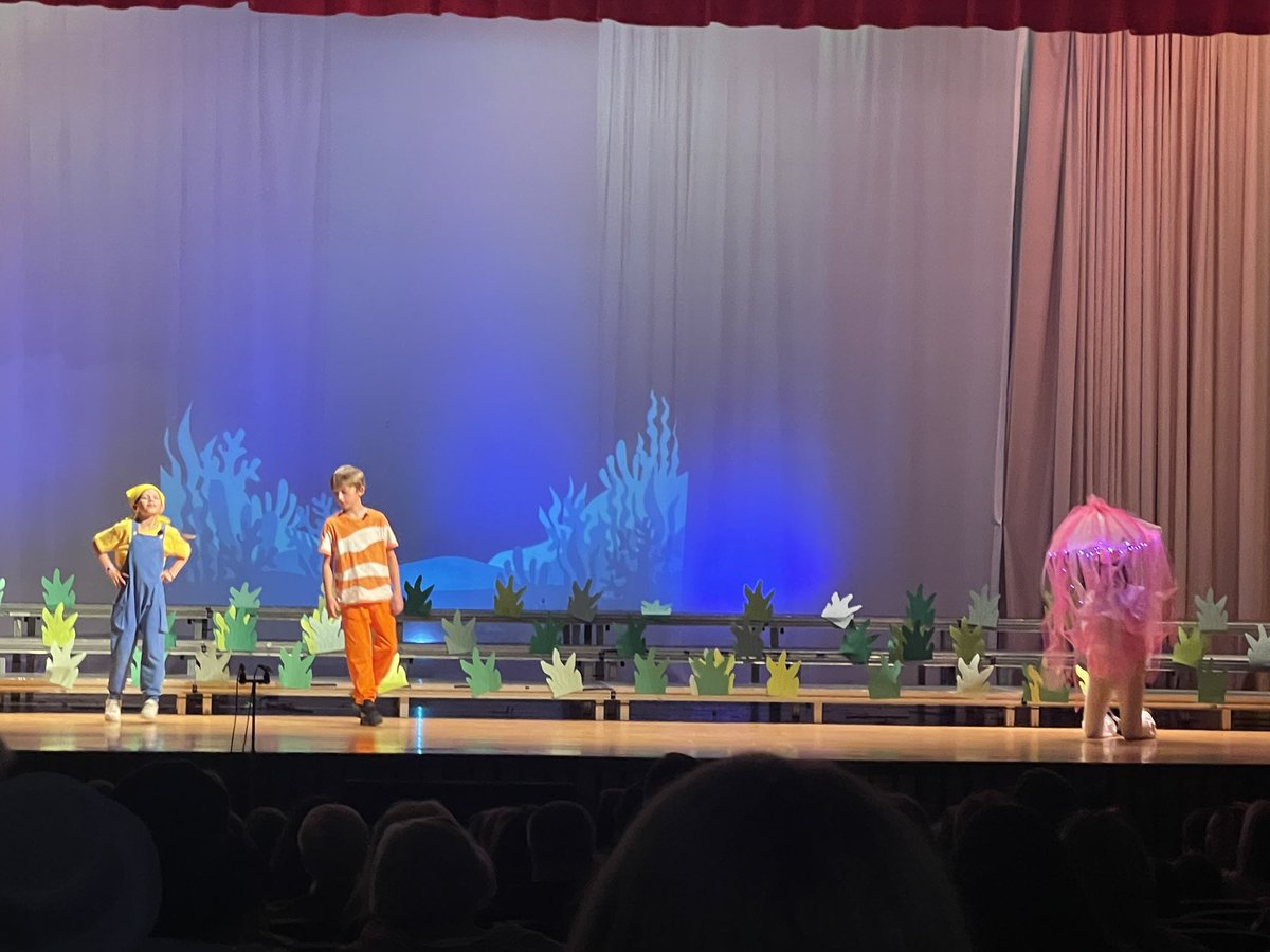 North View Principal tweet media