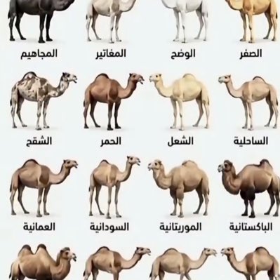 اعمال واقتصاد tweet media