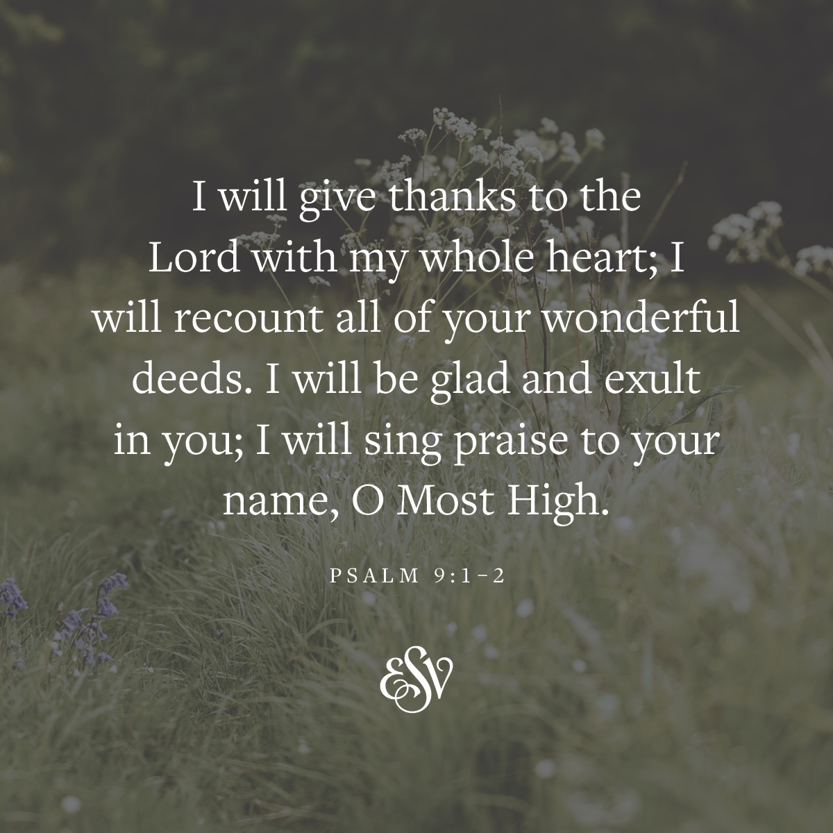 Crossway tweet media