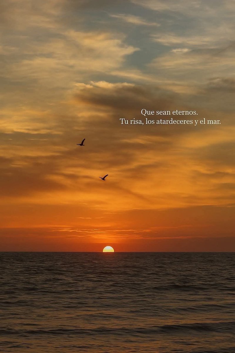 Dilo con dibujos tweet media