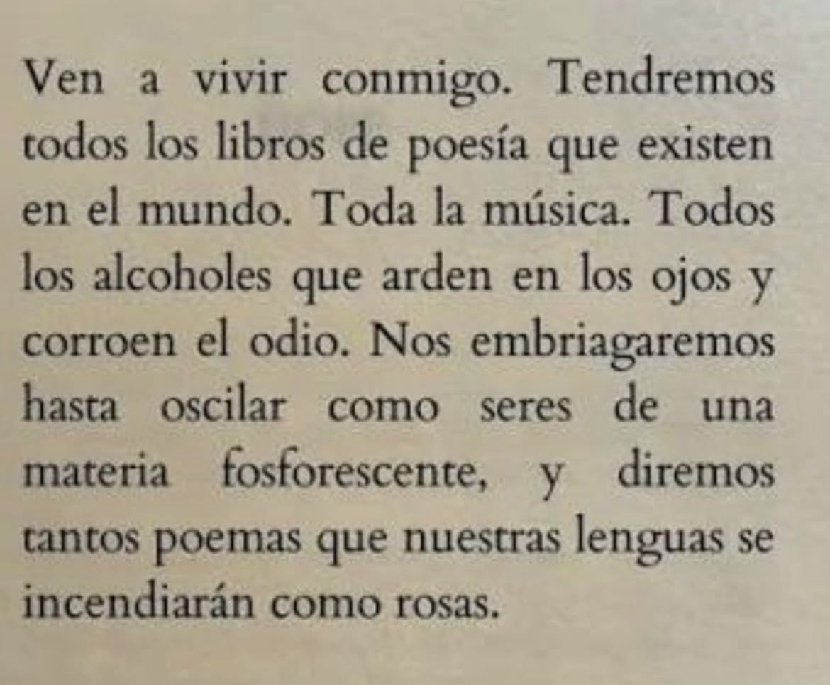 Cementerio De Libros tweet media