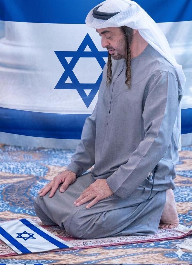 صقر الجزيرة tweet media