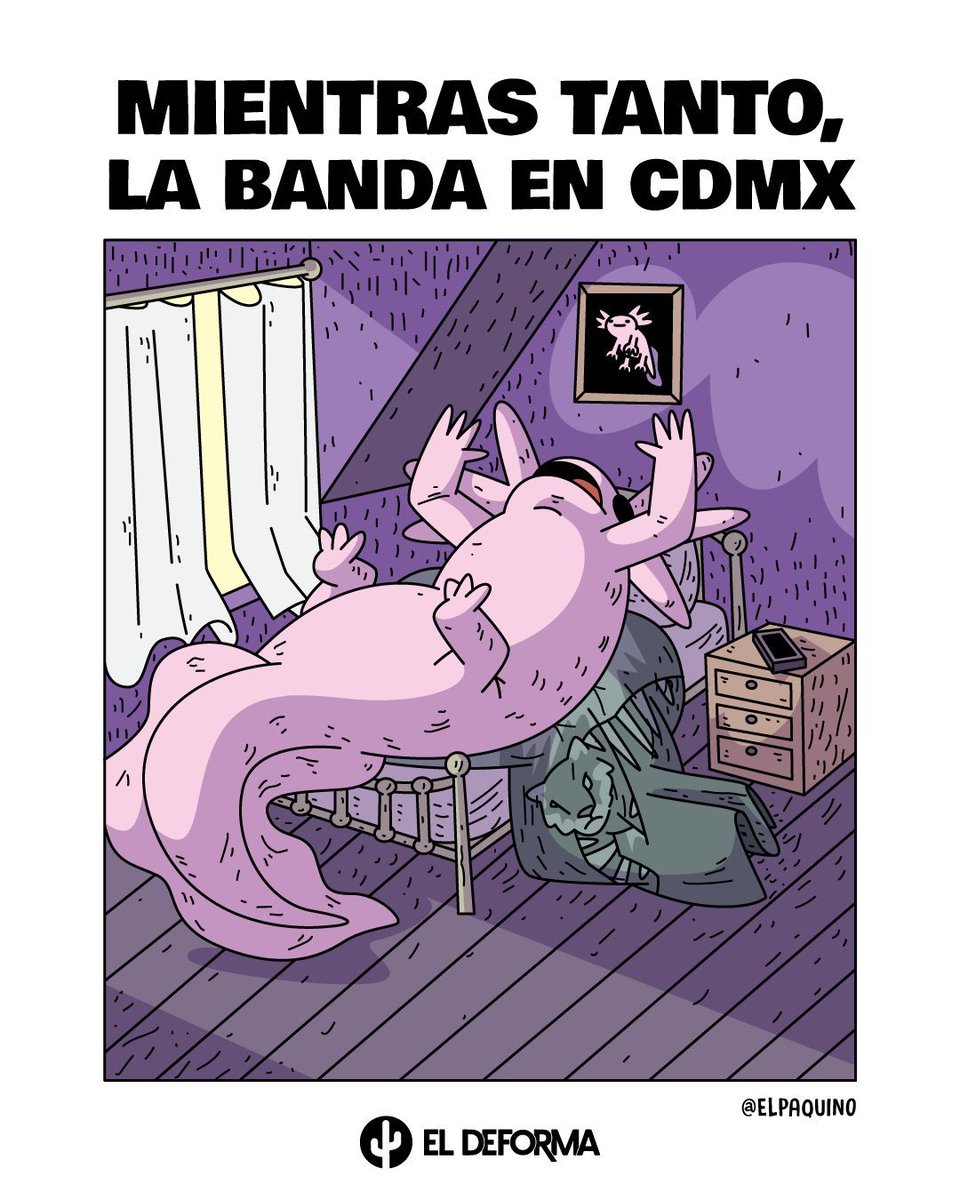 El Deforma tweet media
