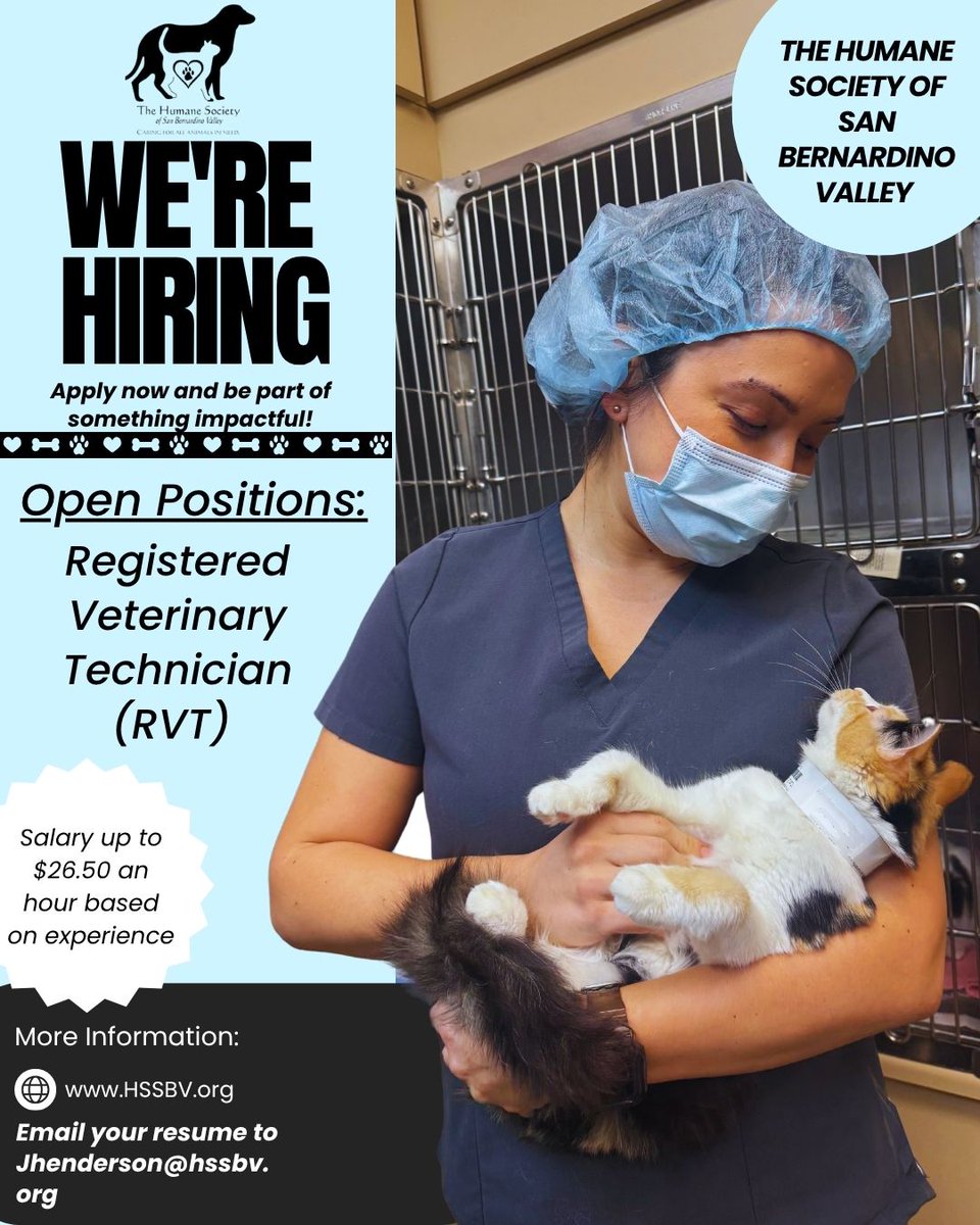HSSBV's tweet photo. Accepting applications for Registered Veterinary Technicians.
(RVTs must have taken and passed the RVT exam)
https://t.co/AZShpd0QRS https://t.co/PbW7qY1zyW