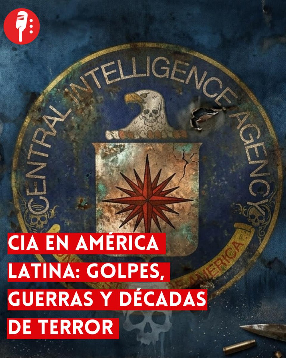 Los Reporteros MX tweet media
