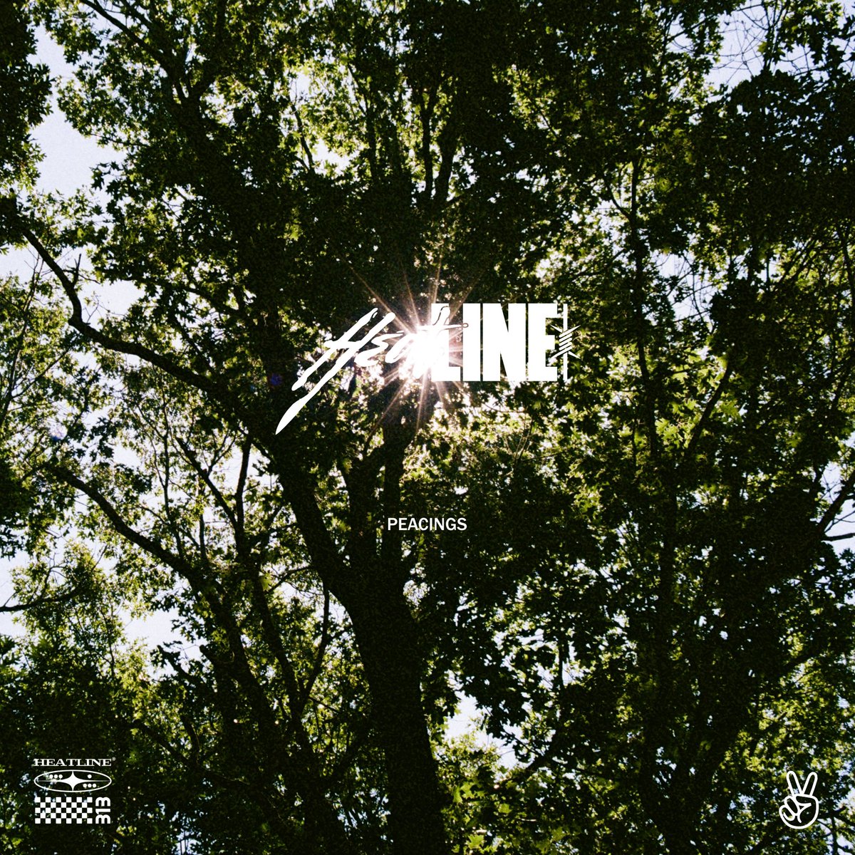 Heatline__'s tweet photo. and so it begins ✌️ https://t.co/UgftXNZoJy