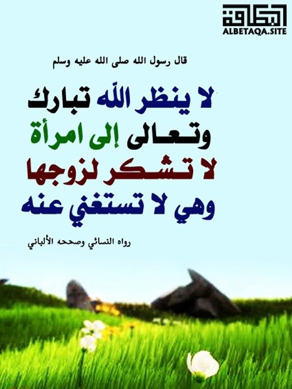 نضال بن محمود آل داود tweet media