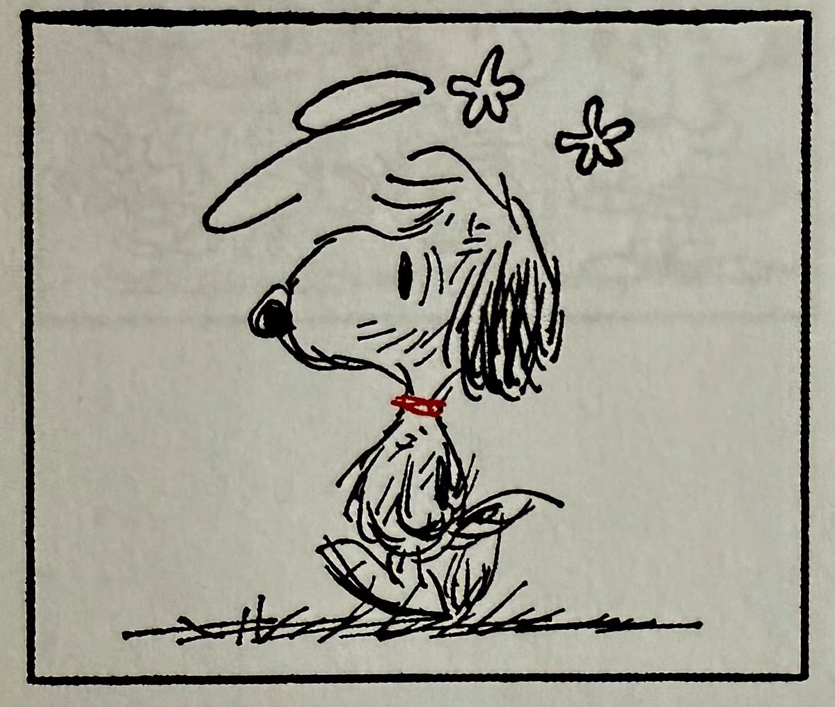 Daily Snoopy tweet media
