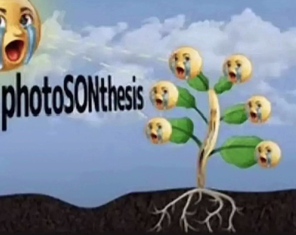 shitbird tweet media