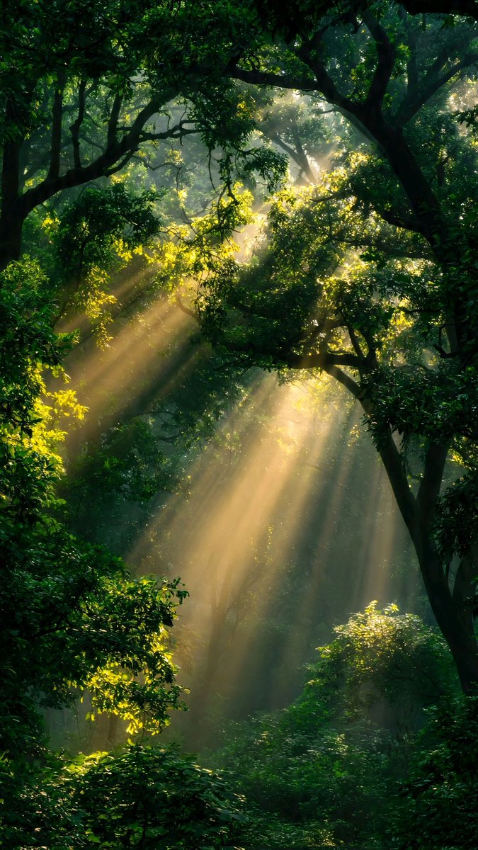 Purely Green tweet media