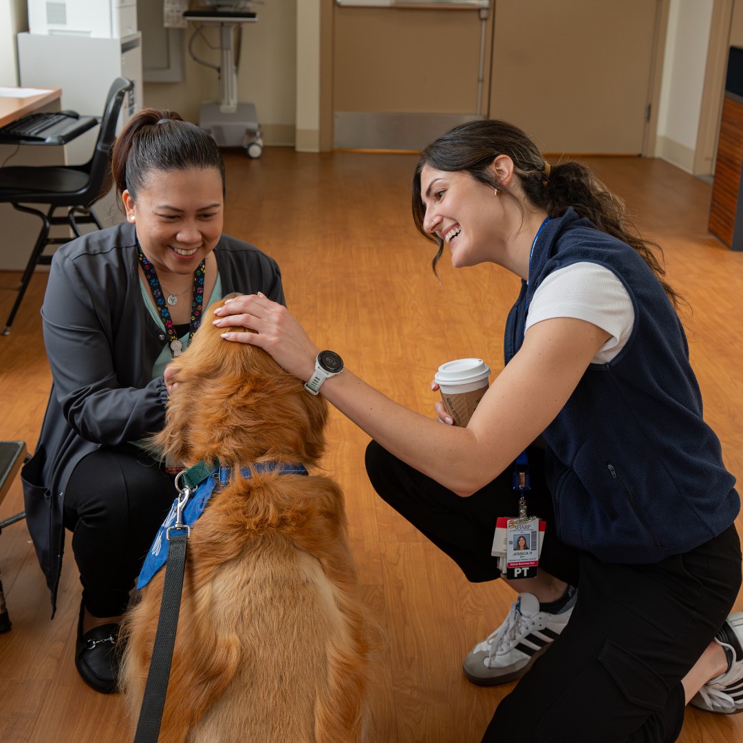 Helen Woodward Animal Center tweet media