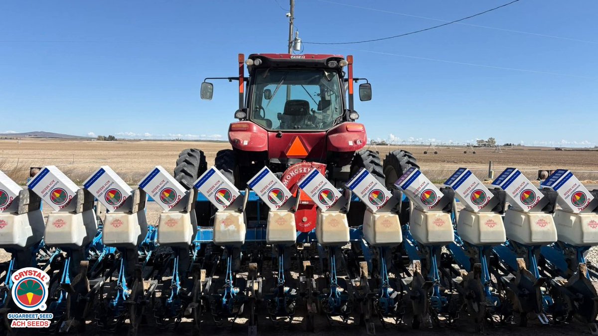 beet_ach's tweet photo. Spotted in the Amalgamated region: our new seed boxes, lined up and ready to roll! 🌱🤩 #ACHSeeds https://t.co/BhQjJNU9hg