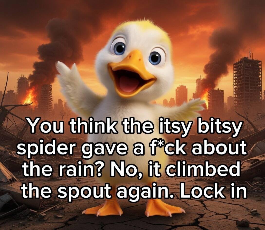 fairybaby420's tweet photo. i’ll keep posting this stupid duck because i genuinely love this stupid duck. and it’s stupid cheap right now. everything about this is stupid. the stupid is the alpha https://t.co/k9WBjpCr2V