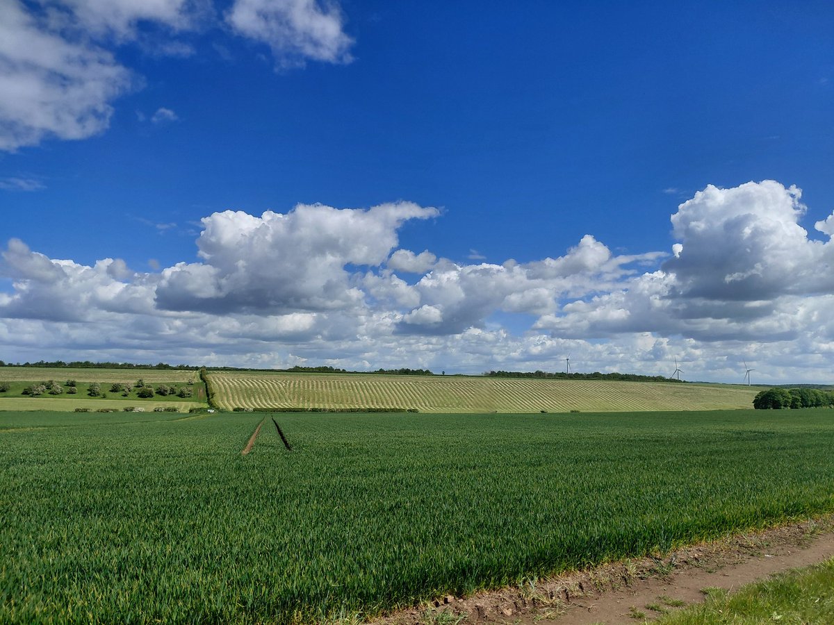 SteveThePostman's tweet photo. @peacockreports Exactly the same here, reports of thunder, hail and allsorts locally. All we've had is a few showers!  It was very pleasant in the sun today. https://t.co/efCN5DiUpP