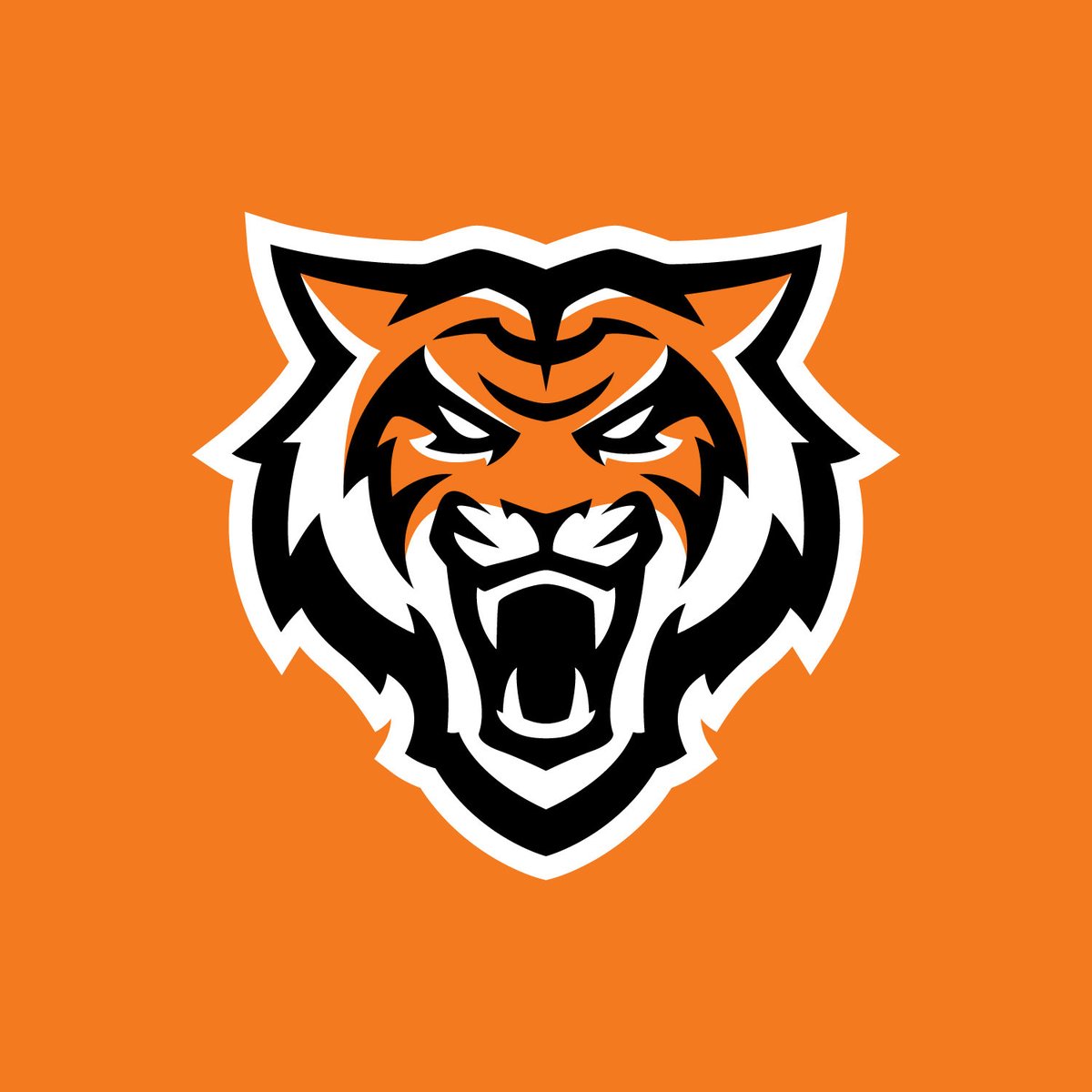 EliToms_5's tweet photo. I’m blessed to receive my 7th division 1 offer from Idaho State University!! #AGTG #Bengals 

@DevinRHoliday @CoachBobbyJay @Coach_Mac70 @1man_eyeland @DVThunderFB @DVFBRecruiting https://t.co/AJmgfUMceu