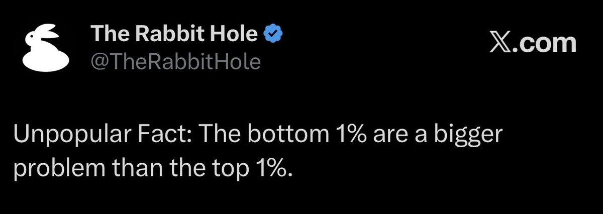 The Rabbit Hole tweet media