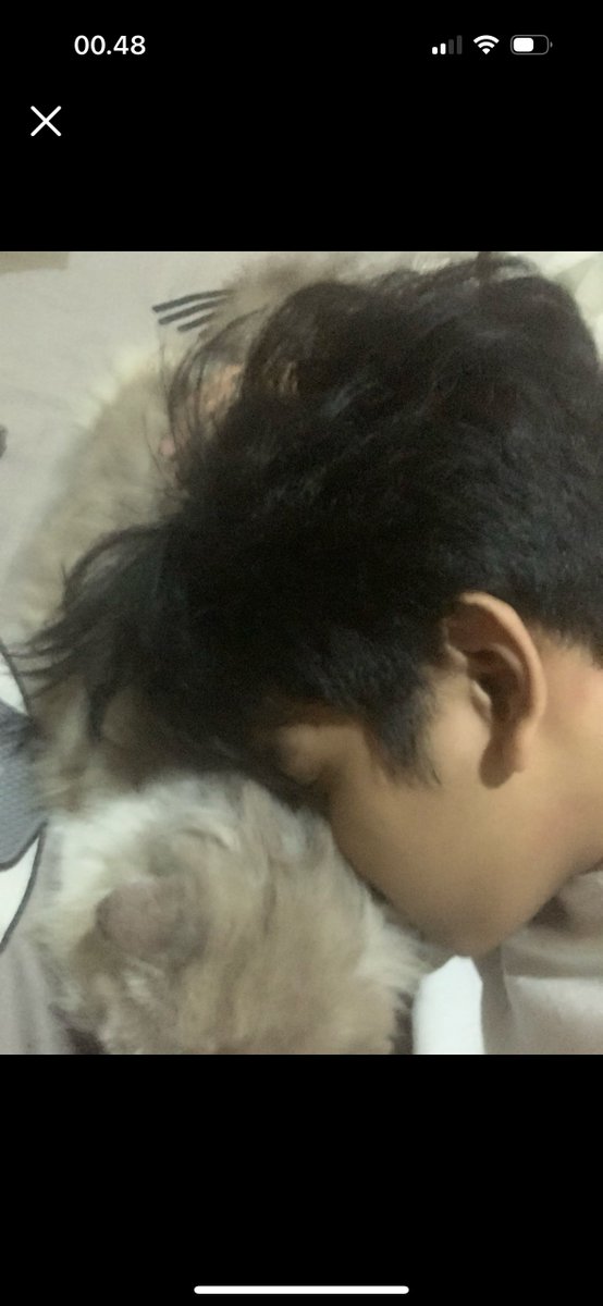 nanaids's tweet photo. KOK BISA SELUCU ITUUU?? https://t.co/Q6LgV1RMlI