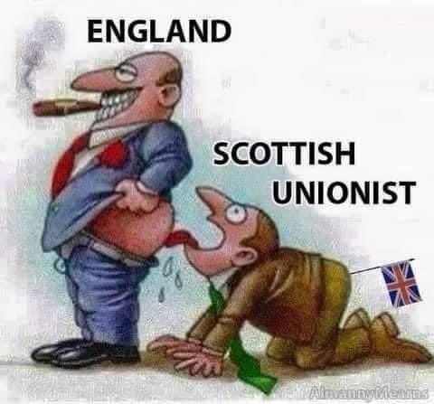 Laird of Glencoe 🏴󠁧󠁢󠁳󠁣󠁴󠁿🏴󠁧󠁢󠁳󠁣󠁴󠁿 tweet media