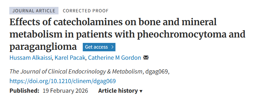 PheoPara's tweet photo. Speaking of bones, check this out . . . 🦴🩻
👉https://t.co/zTIEqLpcbI
@TheEndoSociety @AlkaissiHussam @NIHFunding #pheo #paraganglioma #PPGL #JCEM #ENDO2026, https://t.co/z8RcNsTNB7