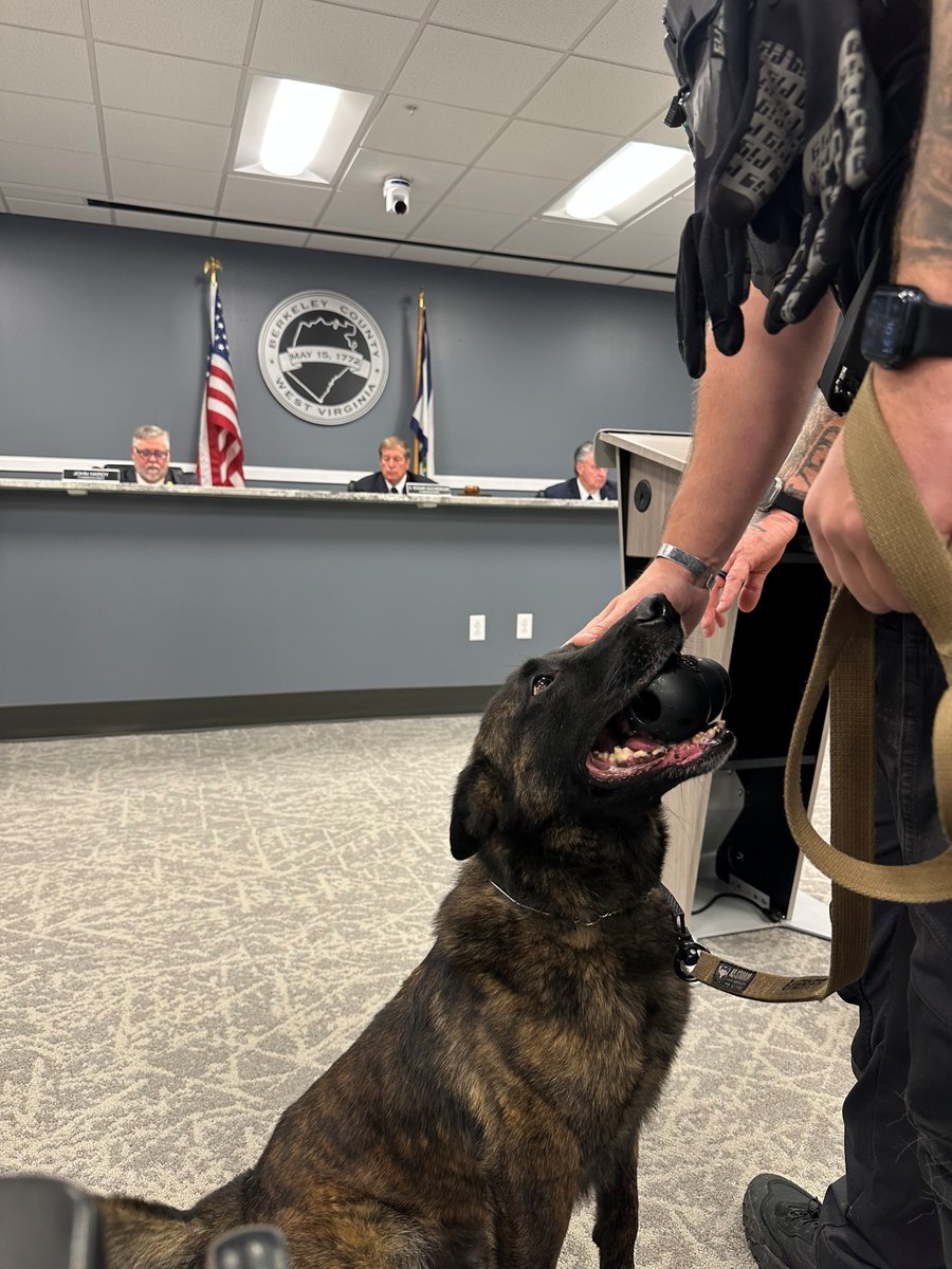 WVBerkeleyCC's tweet photo. Members of the Berkeley County Commission joined Sheriff's Department Deputy Bryce Reinhardt in recognizing the years of service and loyalty of his partner, Sheriff's Deputy K-9 Max, in a retirement presentation.

Thank you, Deputy K-9 Max 🐾💙

#K9Retirement #HeroicCanines https://t.co/ODw61f9Crv