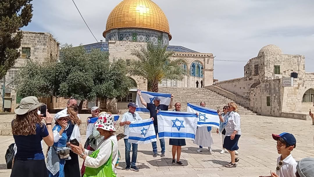 KyraSema's tweet photo. Zoruma gidiyor,kanıma dokunuyor,
hazmedemiyorum,sindiremiyorum,
kabullenemiyorum...#kudüsbizimdir
#freepalestine #freequds #freeaqsa https://t.co/H1oCFWH0LX
