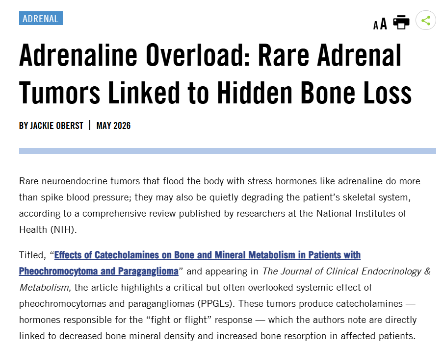 PheoPara's tweet photo. Speaking of bones, check this out . . . 🦴🩻
👉https://t.co/zTIEqLpcbI
@TheEndoSociety @AlkaissiHussam @NIHFunding #pheo #paraganglioma #PPGL #JCEM #ENDO2026, https://t.co/z8RcNsTNB7
