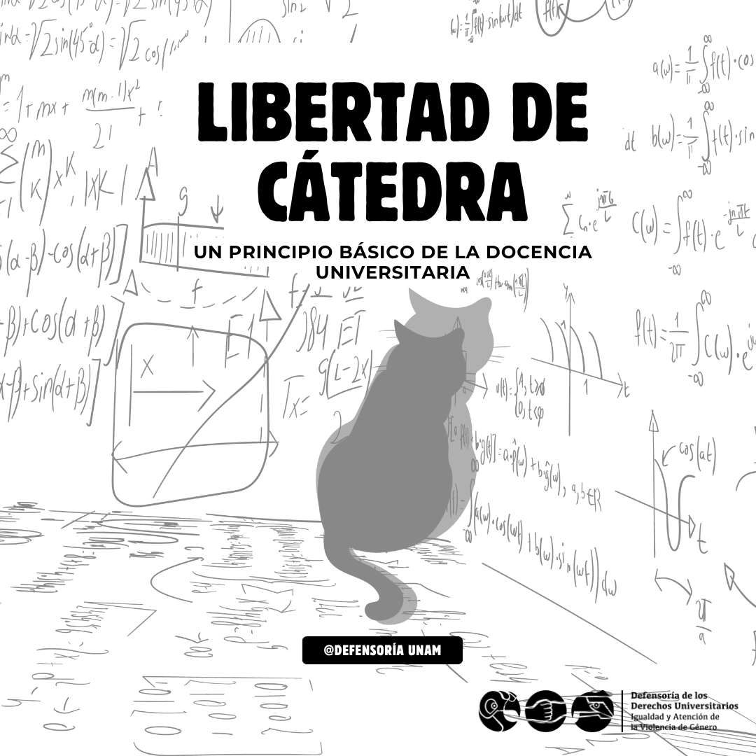 UNAMDDU's tweet photo. #libertaddecátedra es un principio básico de la docencia universitaria #unam #defensoríaunam #derechosuniversitarios  @unamglobal https://t.co/25XrCQAcnv