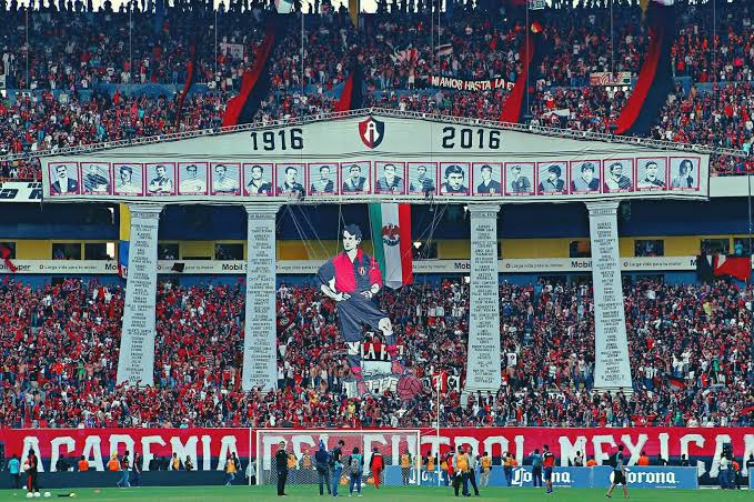 COCCAtlas 🔴⚫ tweet media