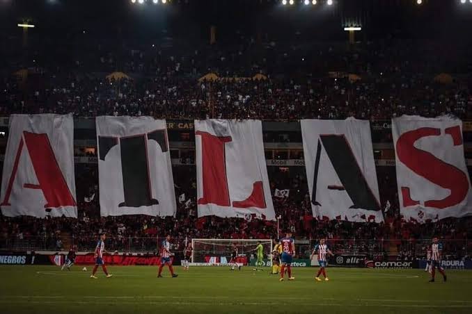 COCCAtlas 🔴⚫ tweet media
