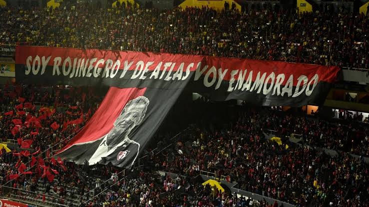 COCCAtlas 🔴⚫ tweet media