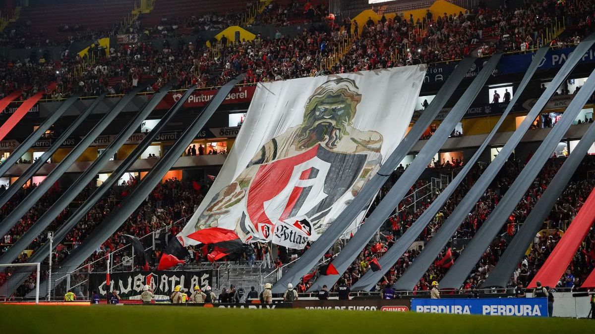 COCCAtlas 🔴⚫ tweet media