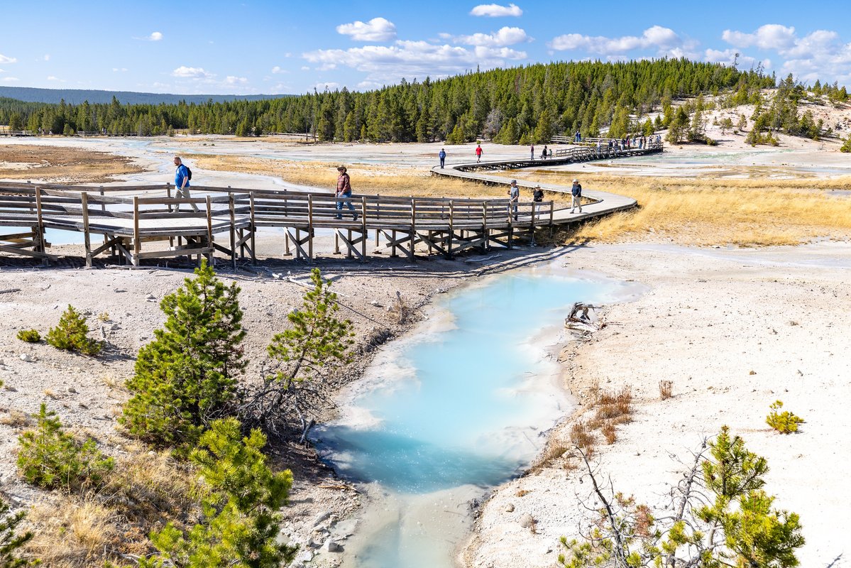 Yellowstone National Park tweet media