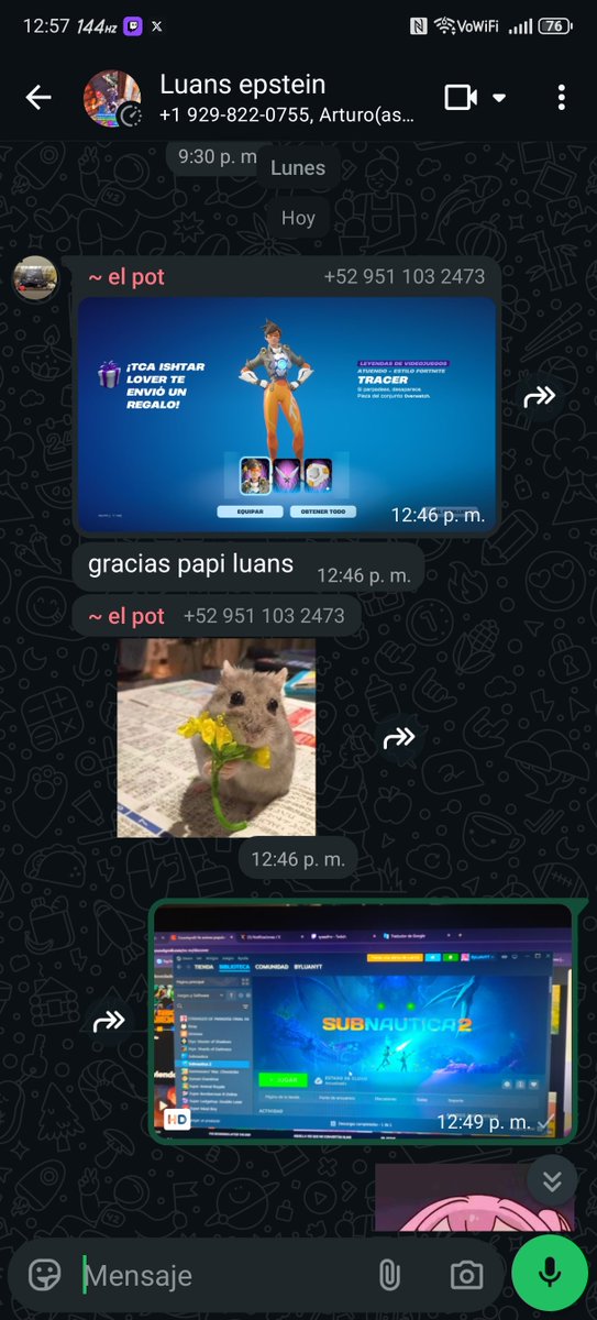 Void Luans Elfaria Albis tweet media