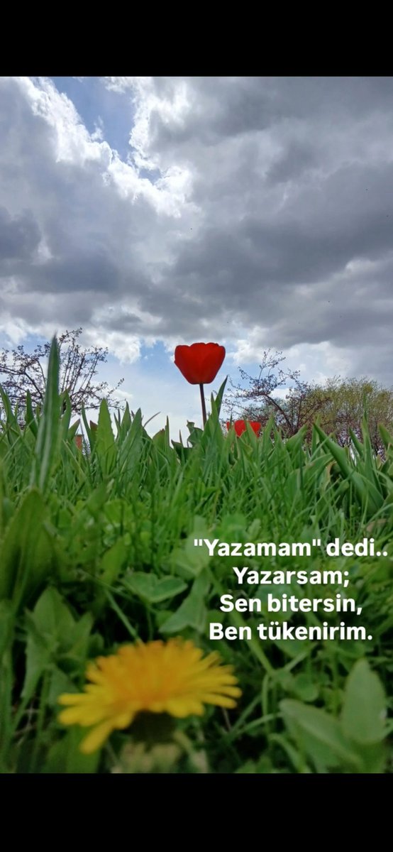 bayrak25's tweet photo. #Hayat https://t.co/PPJCOttyjf