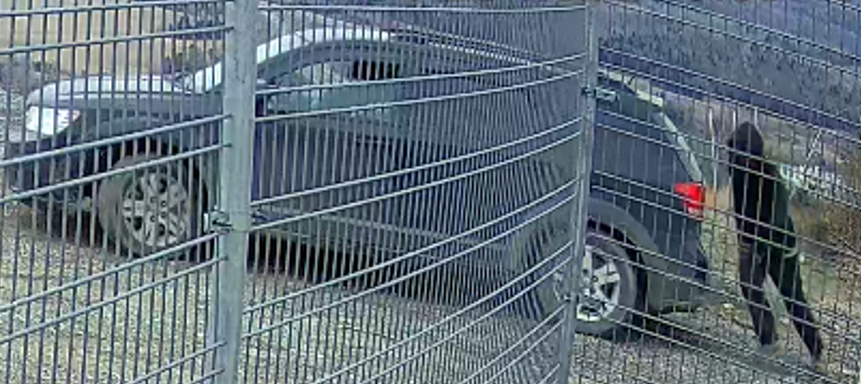 RCMPNB's tweet photo. RCMP seeking to identify individuals following break, enter and theft, #FourFalls
https://t.co/nT3bWCA7Ph https://t.co/rH7jtnbmKB